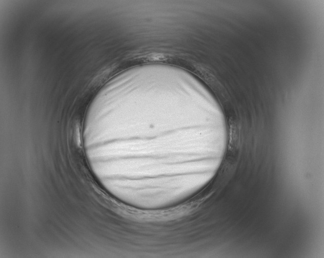 X0000078830046200612041825