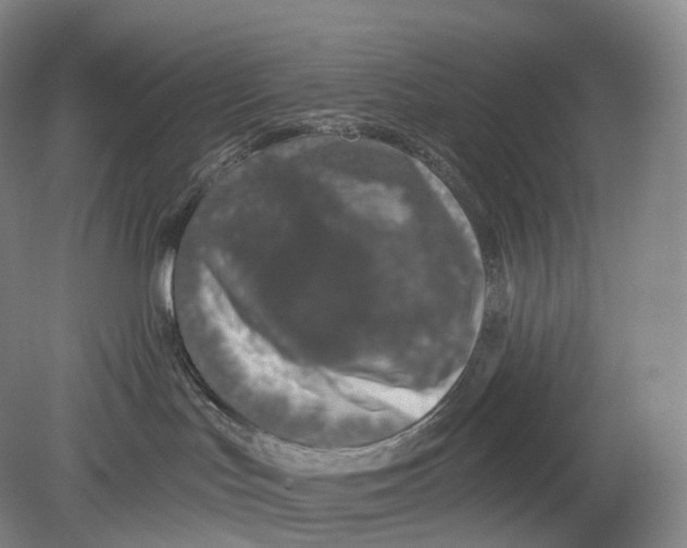 X0000078830047200612041825