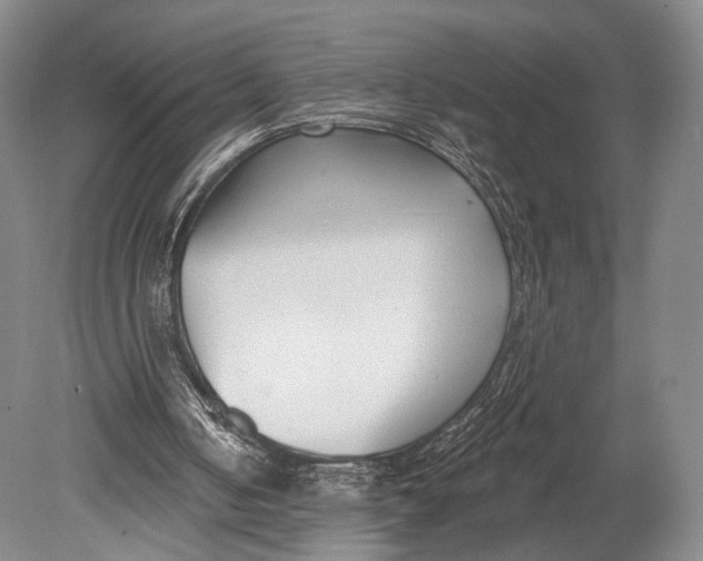 X0000078830050200612041824