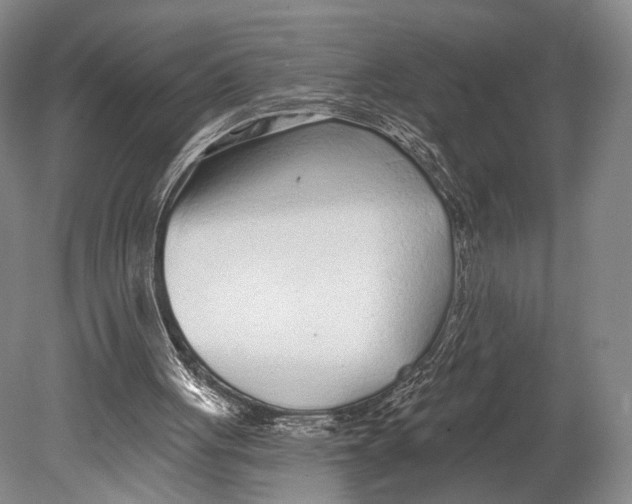 X0000078830051200612041824