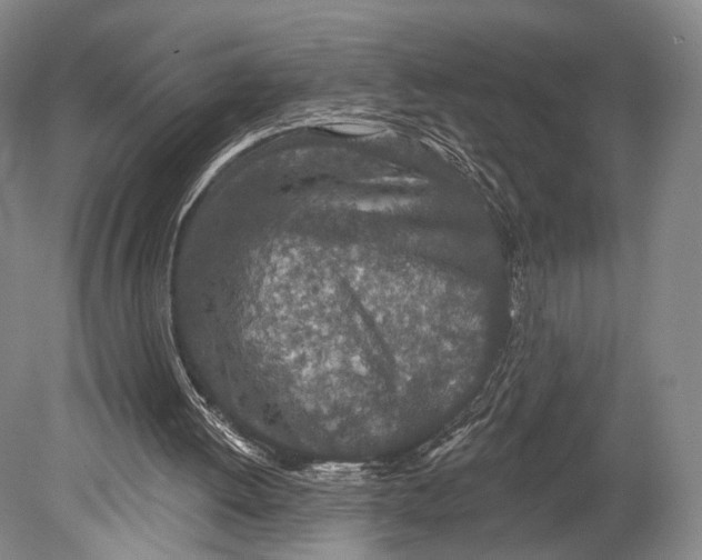 X0000078830052200612041824