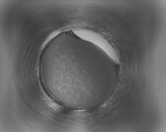 X0000078830054200612041824