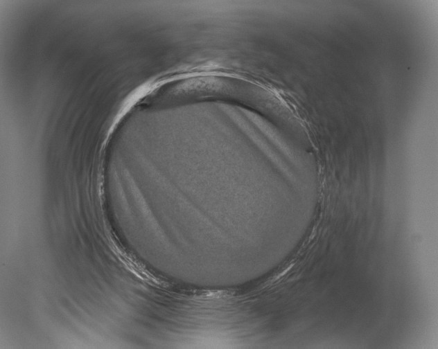 X0000078830056200612041824