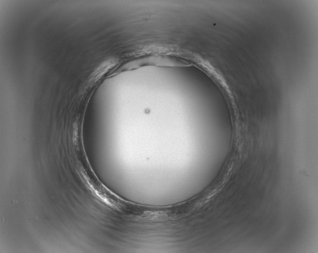 X0000078830057200612041824