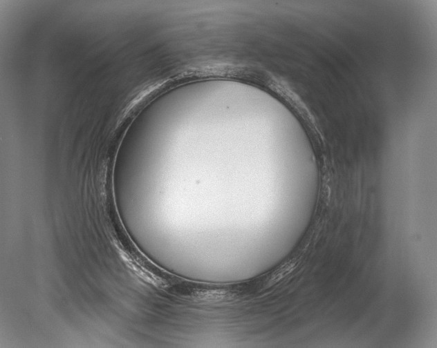 X0000078830058200612041824