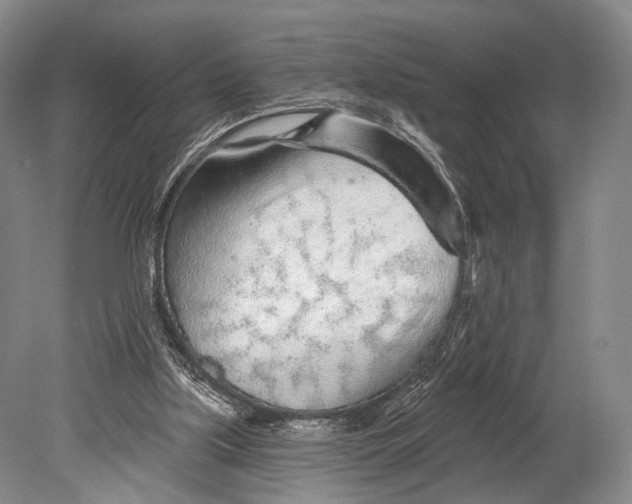 X0000078830059200612041824