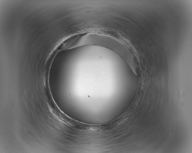 X0000078830060200612041824