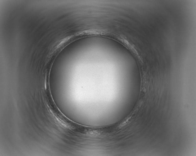 X0000078830062200612041824