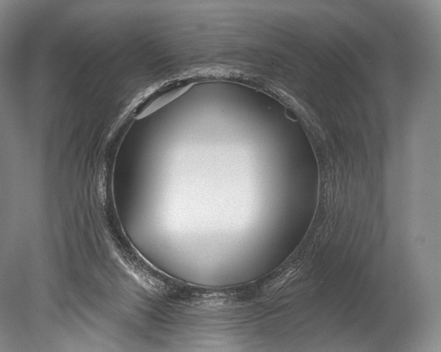 X0000078830064200612041824