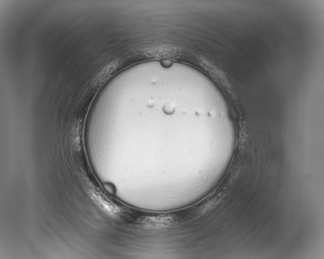 X0000078830065200612041824