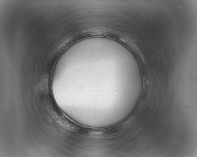 X0000078830066200612041824