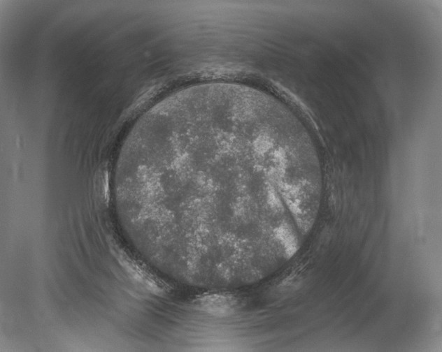 X0000078830067200612041824