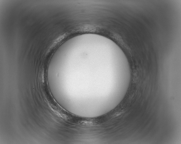 X0000078830068200612041824