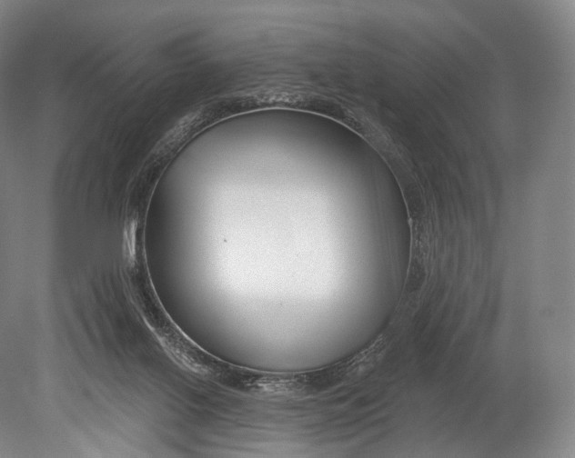 X0000078830070200612041824