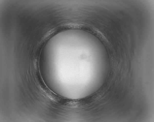 X0000078830071200612041824