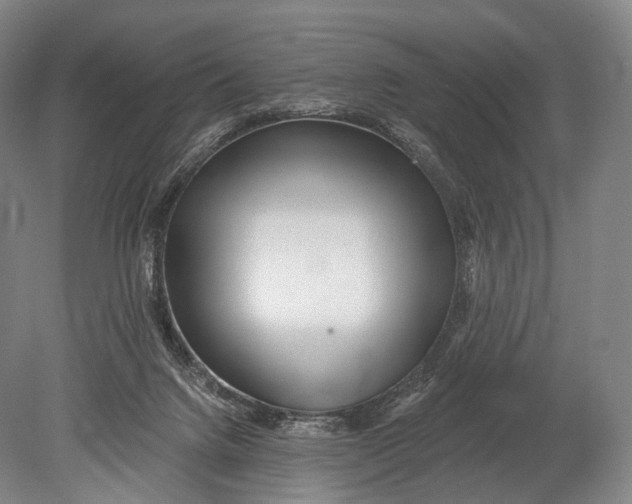 X0000078830072200612041824