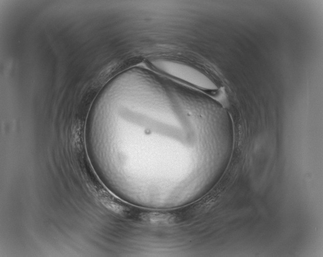 X0000078830073200612041824