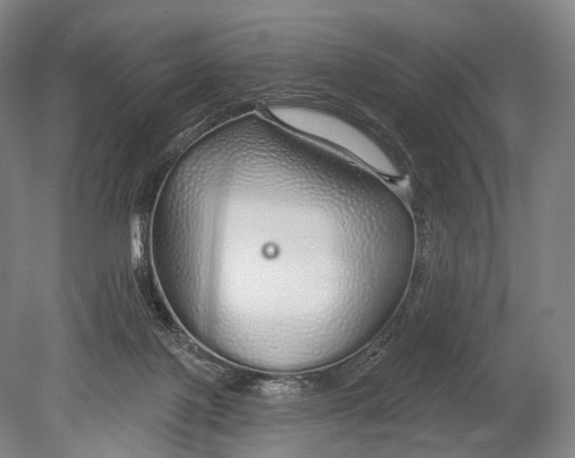 X0000078830075200612041824