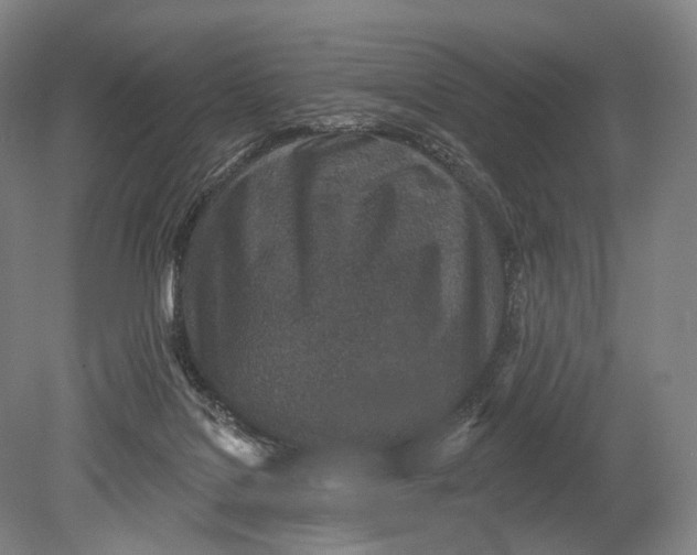 X0000078830076200612041824