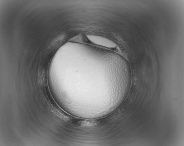 X0000078830077200612041824