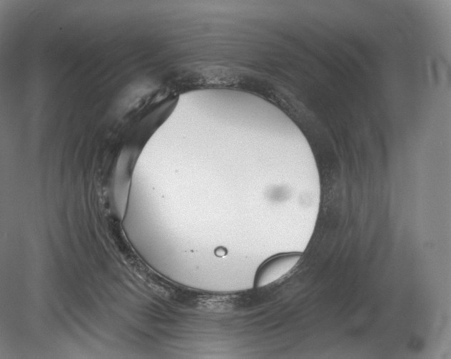 X0000078830078200612041824