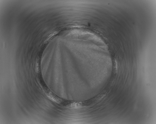 X0000078830080200612041824