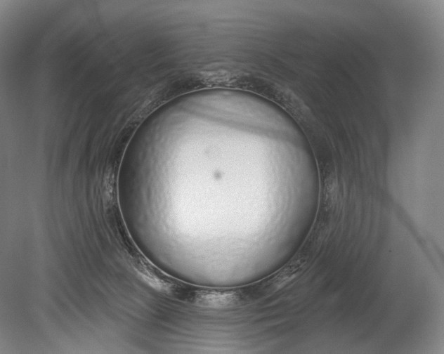 X0000078830081200612041824