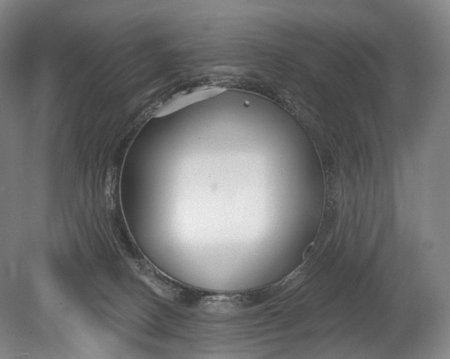 X0000078830082200612041824