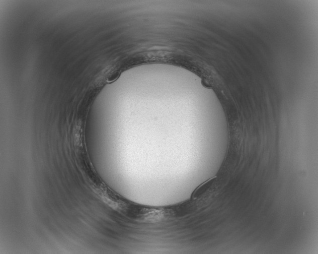 X0000078830083200612041824