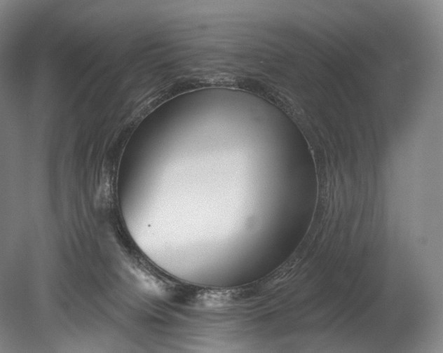 X0000078830084200612041824