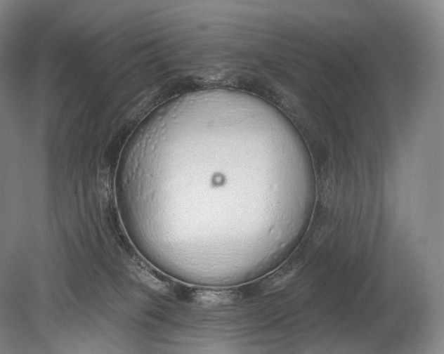 X0000078830085200612041824