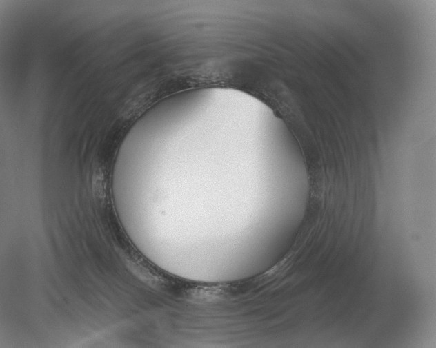 X0000078830086200612041824