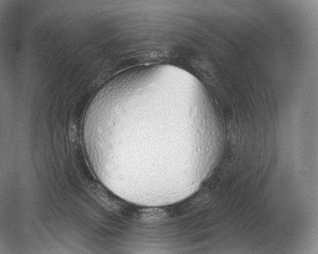 X0000078830087200612041824