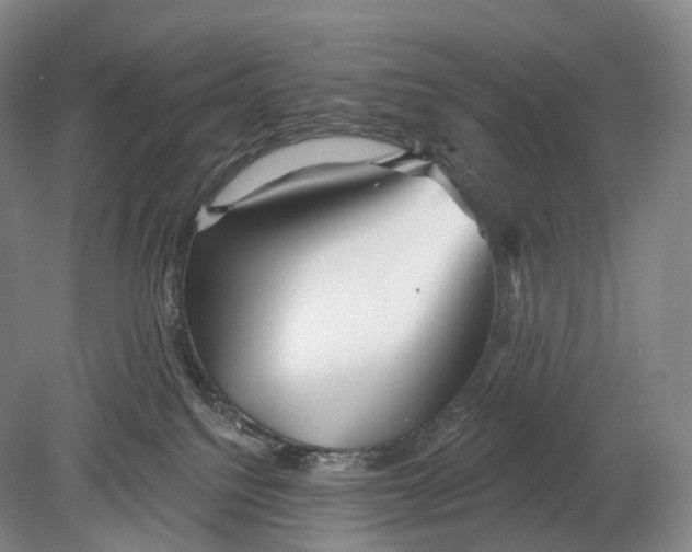 X0000078830088200612041824