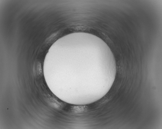 X0000078830089200612041824