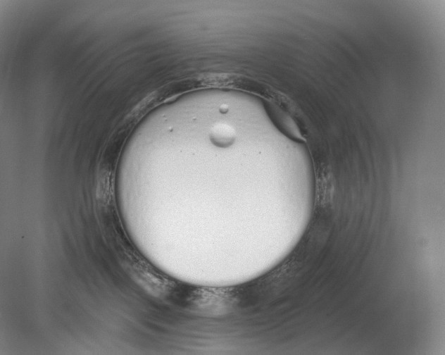 X0000078830093200612041824