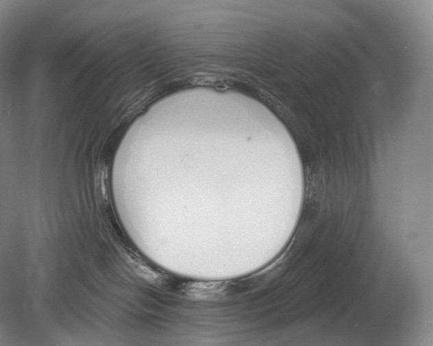 X0000078830094200612041824