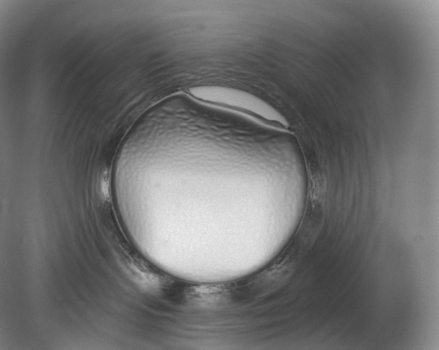 X0000078830095200612041824