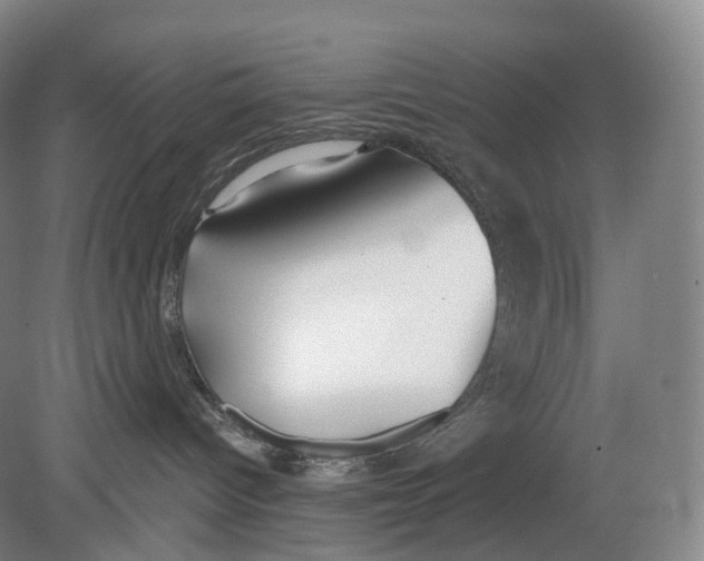 X0000078830096200612041824