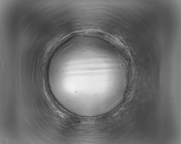 X0000078830097200612041824