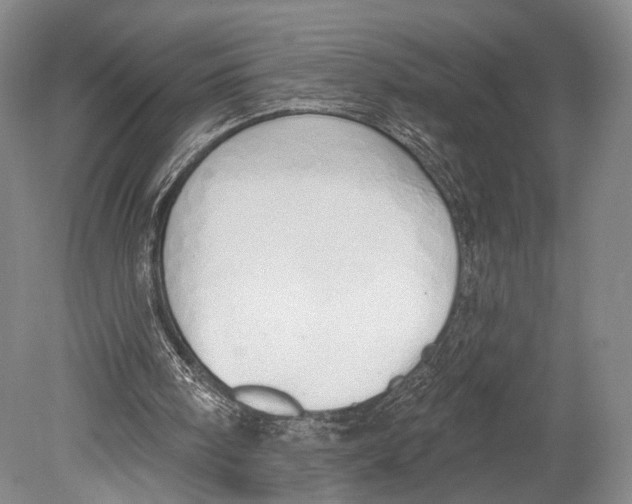 X0000078830098200612041824