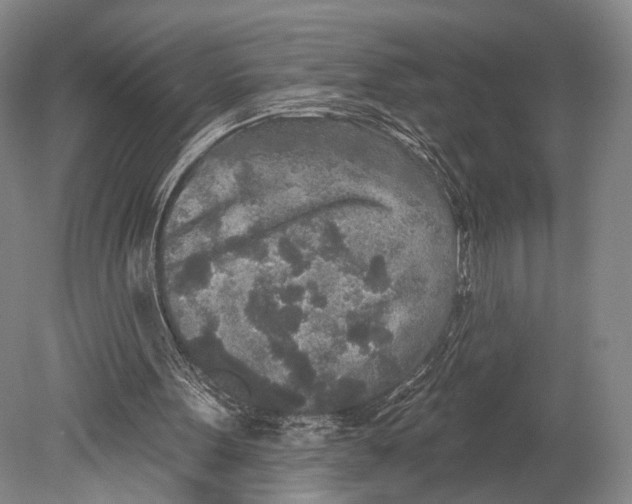 X0000078830099200612041824