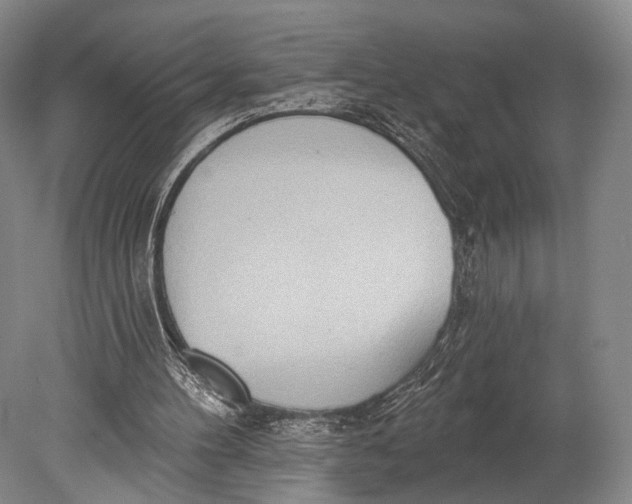 X0000078830100200612041824