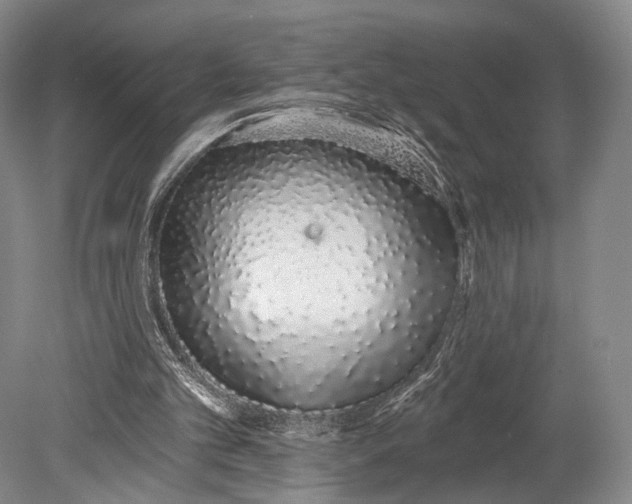 X0000078830101200612041824