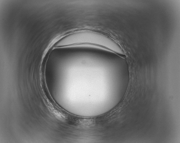 X0000078830102200612041824