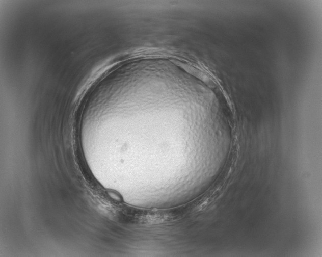 X0000078830103200612041824