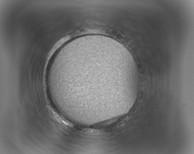 X0000078830104200612041824