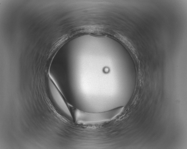 X0000078830105200612041824