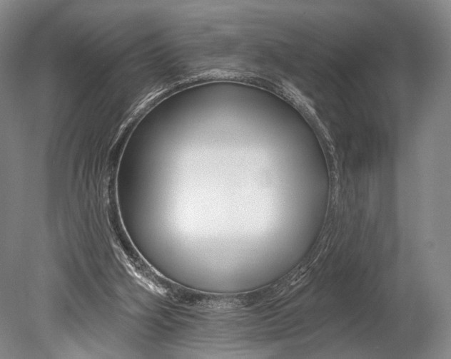 X0000078830106200612041824