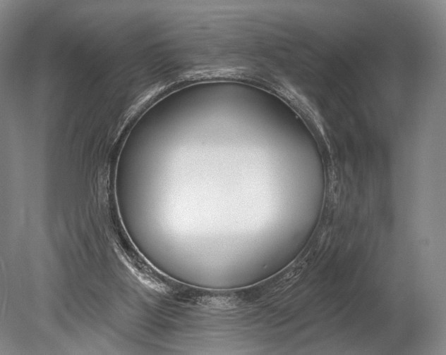 X0000078830107200612041823